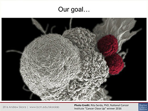 Integrating Immunotherapy with the Standard-of-Care for HPV-related Head and Neck Cancer in HIV